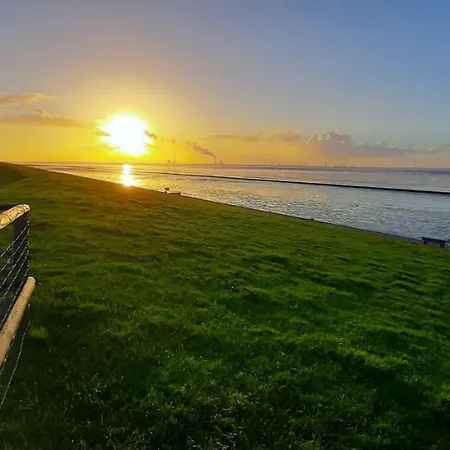 Apart-offizier 公寓 *