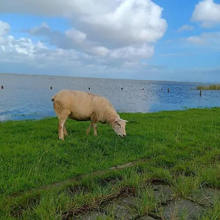 公寓 Apart-offizier Stick