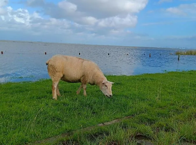 Apartman Apart-offizier Stick