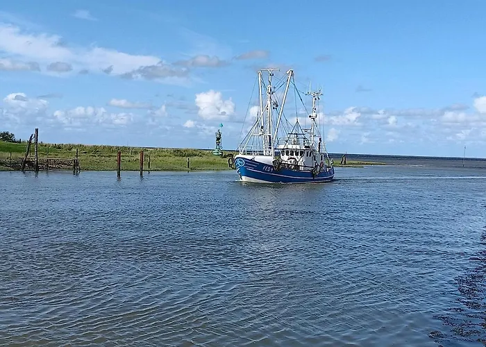 Apart-offizier Stick